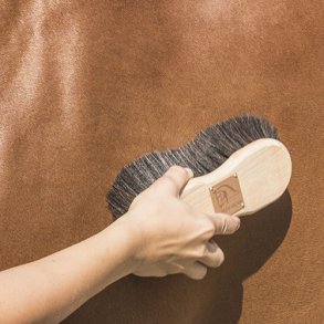 Blue Hors Brush Nature - 50mm