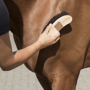 Blue Hors Ergo Brush