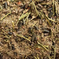 Billede af Brogaarden Optimal Mash Light