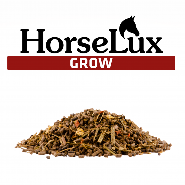 HorseLux Grow - 15 kg