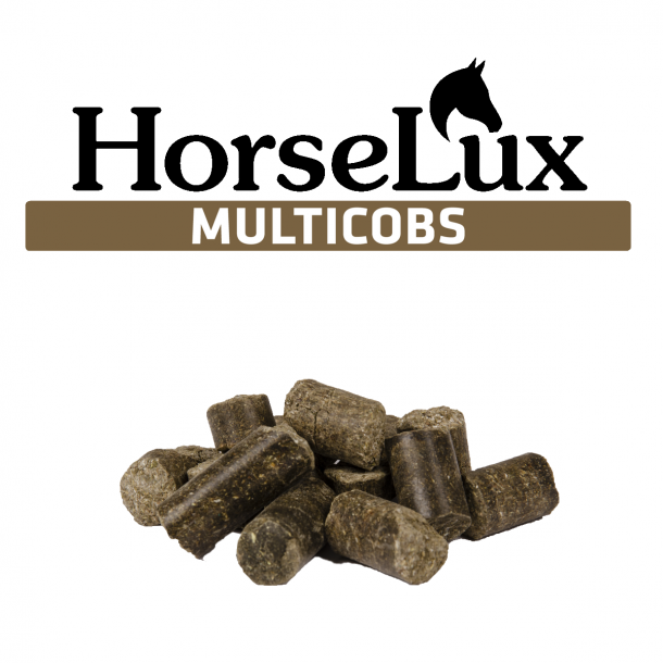 HorseLux MultiCobs