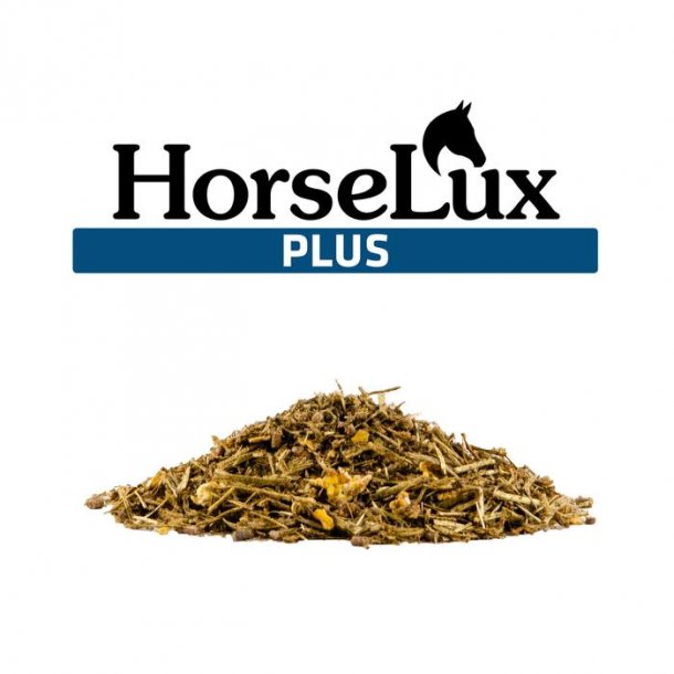 HorseLux Plus - 15 kg