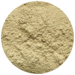 Nordic Horse Rd Elmebark