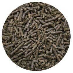 Nordic Horse Minty Omega