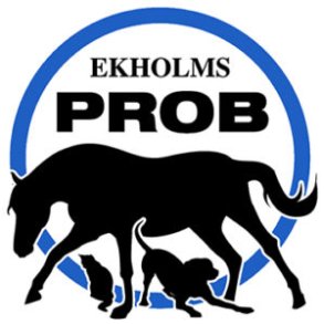 Ekholm