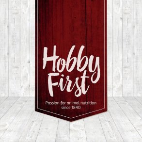 Hobby First