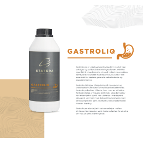 Statera Gastroliq - 1 liter