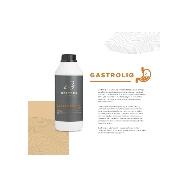 Statera Gastroliq - 1 liter