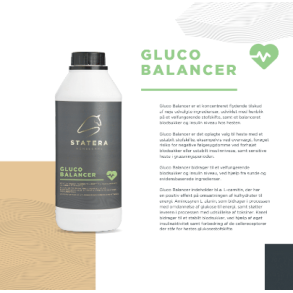 Statera Gluco Balancer - 1 liter
