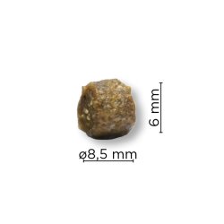 ARION Original Mature 7+ Small