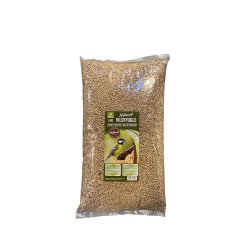 Natural Afskallet Solsikke