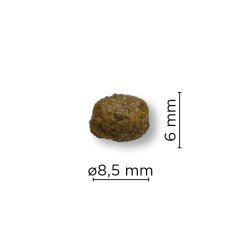 ARION Original Maintenance Small - Kylling - 2kg