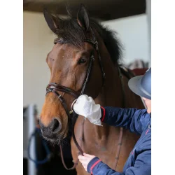 CDM Belvoir Tack Cleaning Mitt