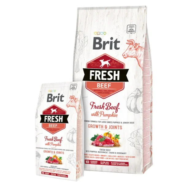 Brit Fresh Beef Puppy Large