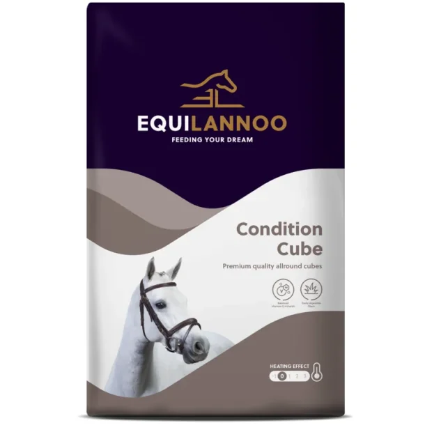 Equilannoo Condition Cube - 20kg