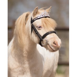 QHP Diadem til Hest