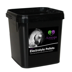 Amequ Electrolyte Pellets