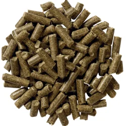 Equilannoo Gastro Cube - 20kg