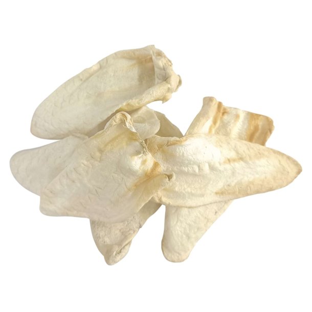 Nobby T�rret Gede�re - 3stk