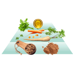 Goood Sensitive Adult Bredygtige Insekter