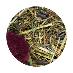 Hartog Senior Lucerne - 15kg