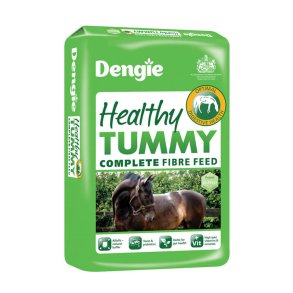 Dengie Healthy Tummy - 15kg