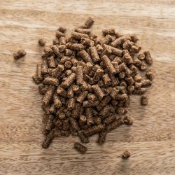 St. Hippolyt Hestaplus Magnesium B12 - 1kg