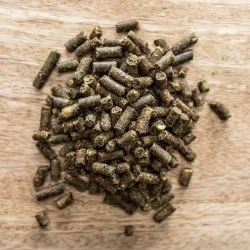 St. Hippolyt Knoblizem