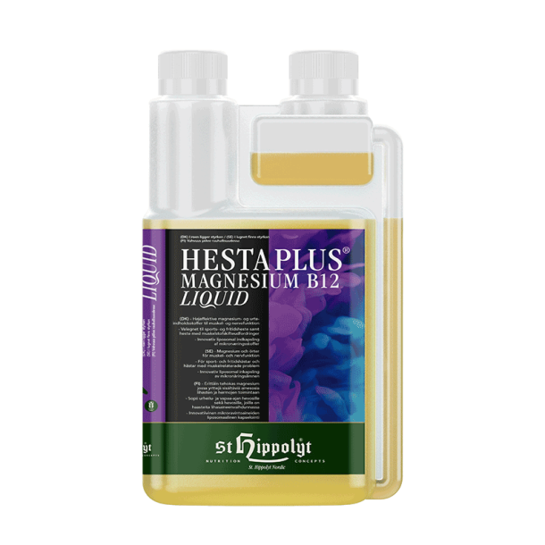 St. Hippolyt Hesta Plus LIQUID Magnesium B12 - 1liter