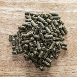 St. Hippolyt Movicur