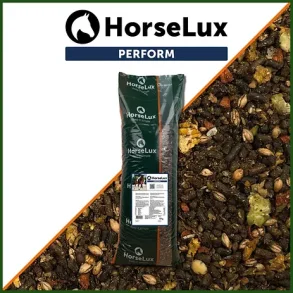 HorseLux Perform - 15 kg