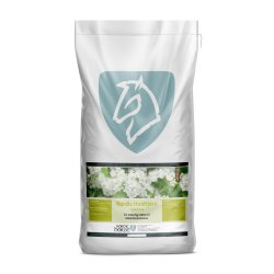 Nordic Horse Hvidtjrn