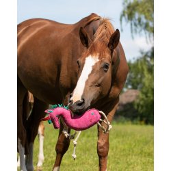 Hest leger med enhjrningelegetj