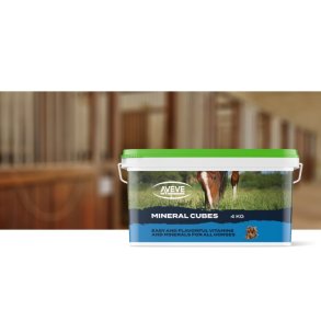AVEVE Mineral Cubes - 4kg