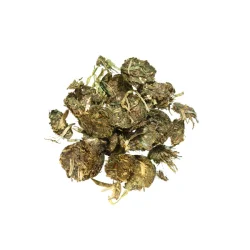 AGROBS AG MYO PROTEIN Flakes - 20kg