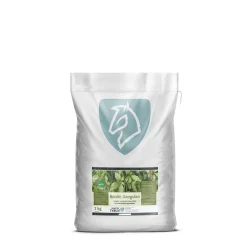 Nordic Horse Jiaogulan