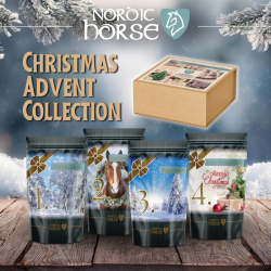 Nordic Horse Christmas Advent Collection
