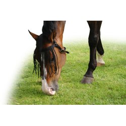 QHP Fluepandebnd Ekstra