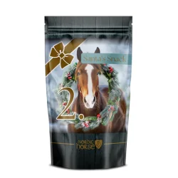 Nordic Horse Christmas Advent Collection