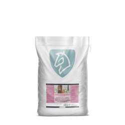 Nordic Horse Summer Sticks