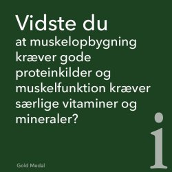 St. Hippolyt Gold Medal