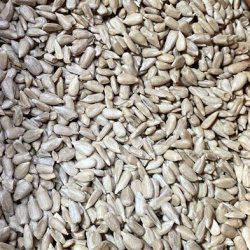 Natural Afskallet Solsikke