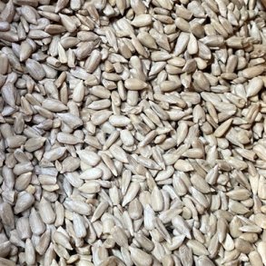 Natural Afskallet Solsikke