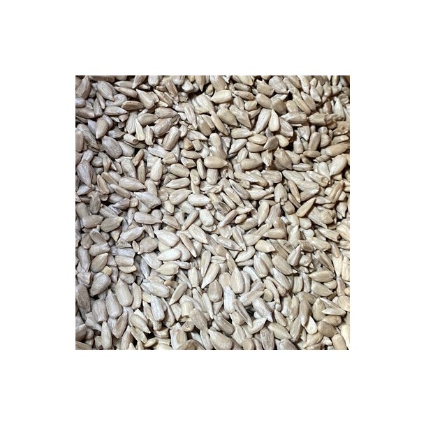 Natural Afskallet Solsikke