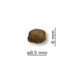 ARION Original Sensitive Small - Lam - 2kg