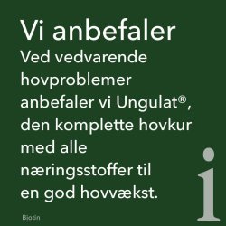 St. Hippolyt Biotin - 1kg