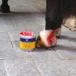 CDM Protection Plus - 500g