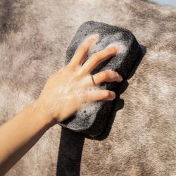 QHP Equi Super Shiner