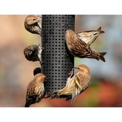 Nobby Foderautomat Sort - 7x45cm