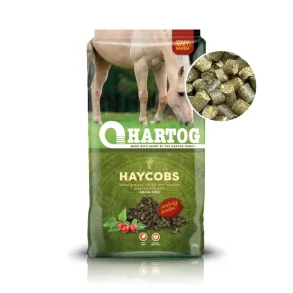 En sk Hartog Haycobs